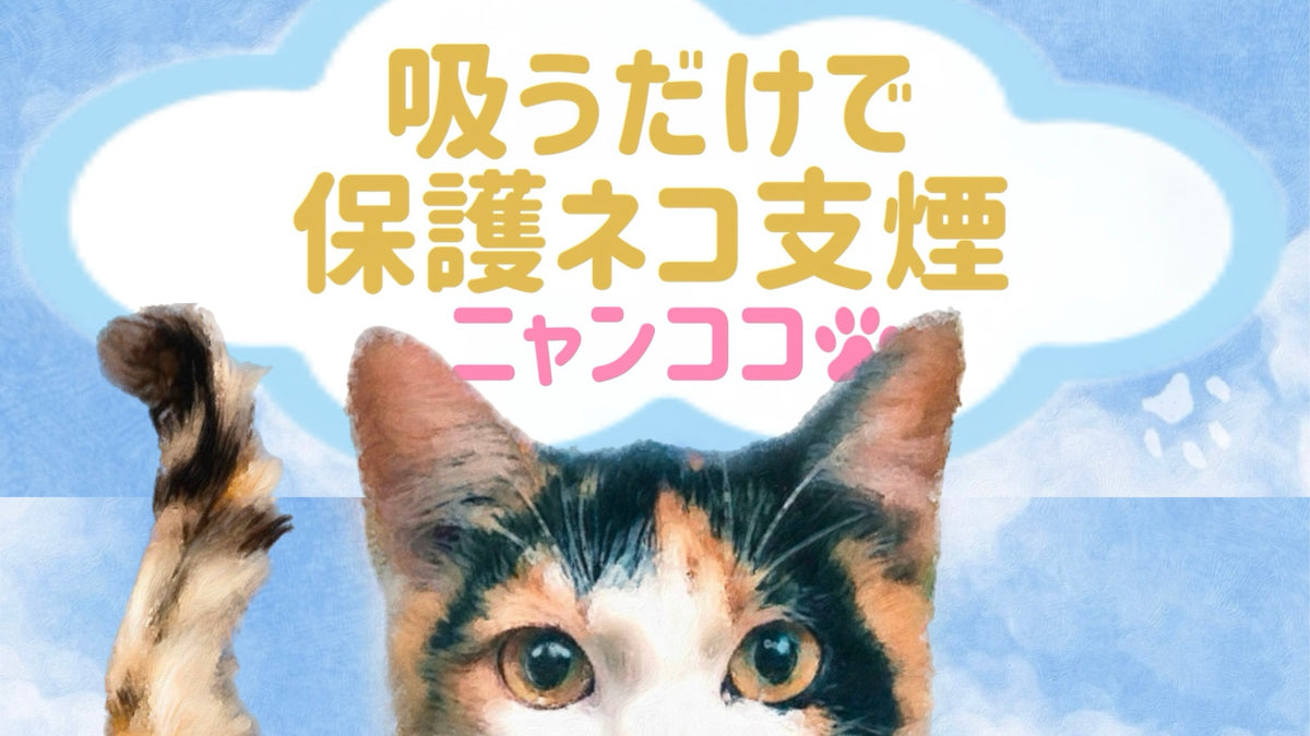 Nyancoco – Tokyo Shisha