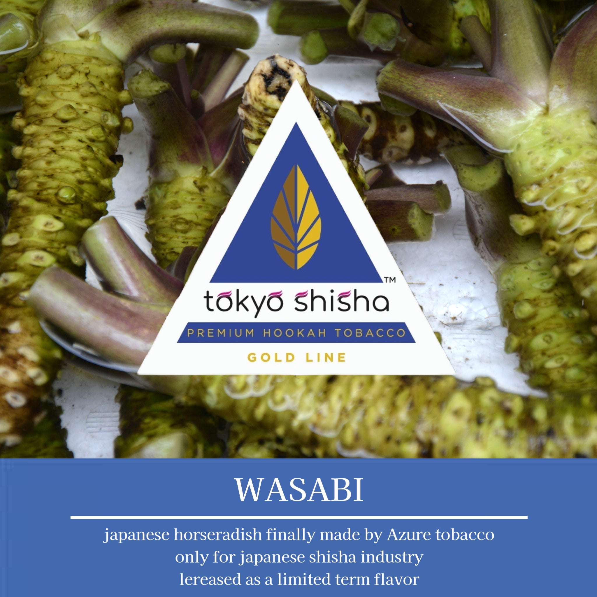 Wasabi